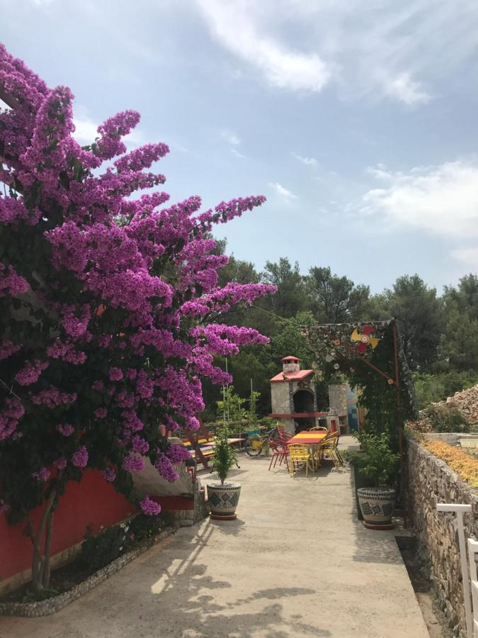 Lipovac Resort Ficus Bilice Eksteriør bilde